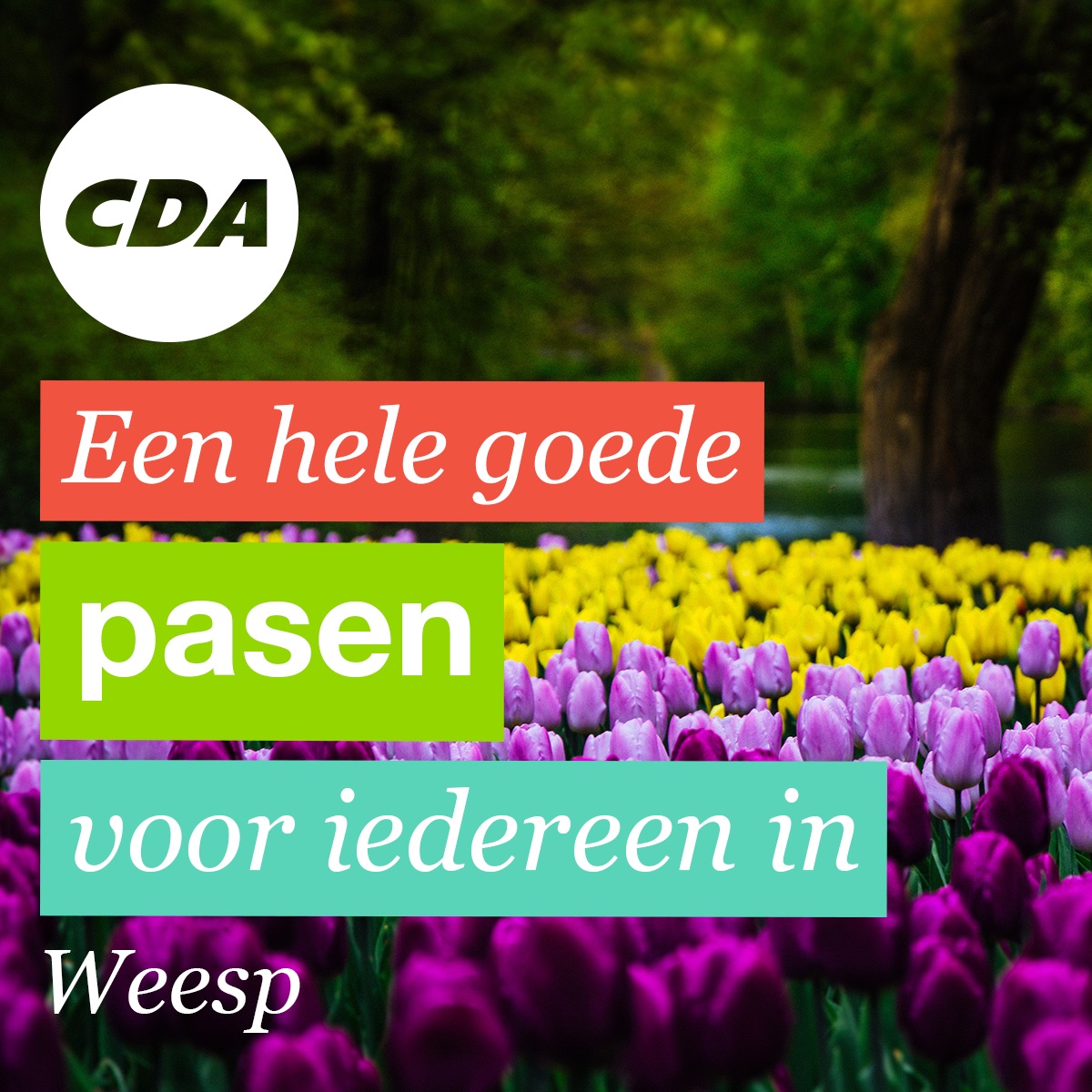 Weesp